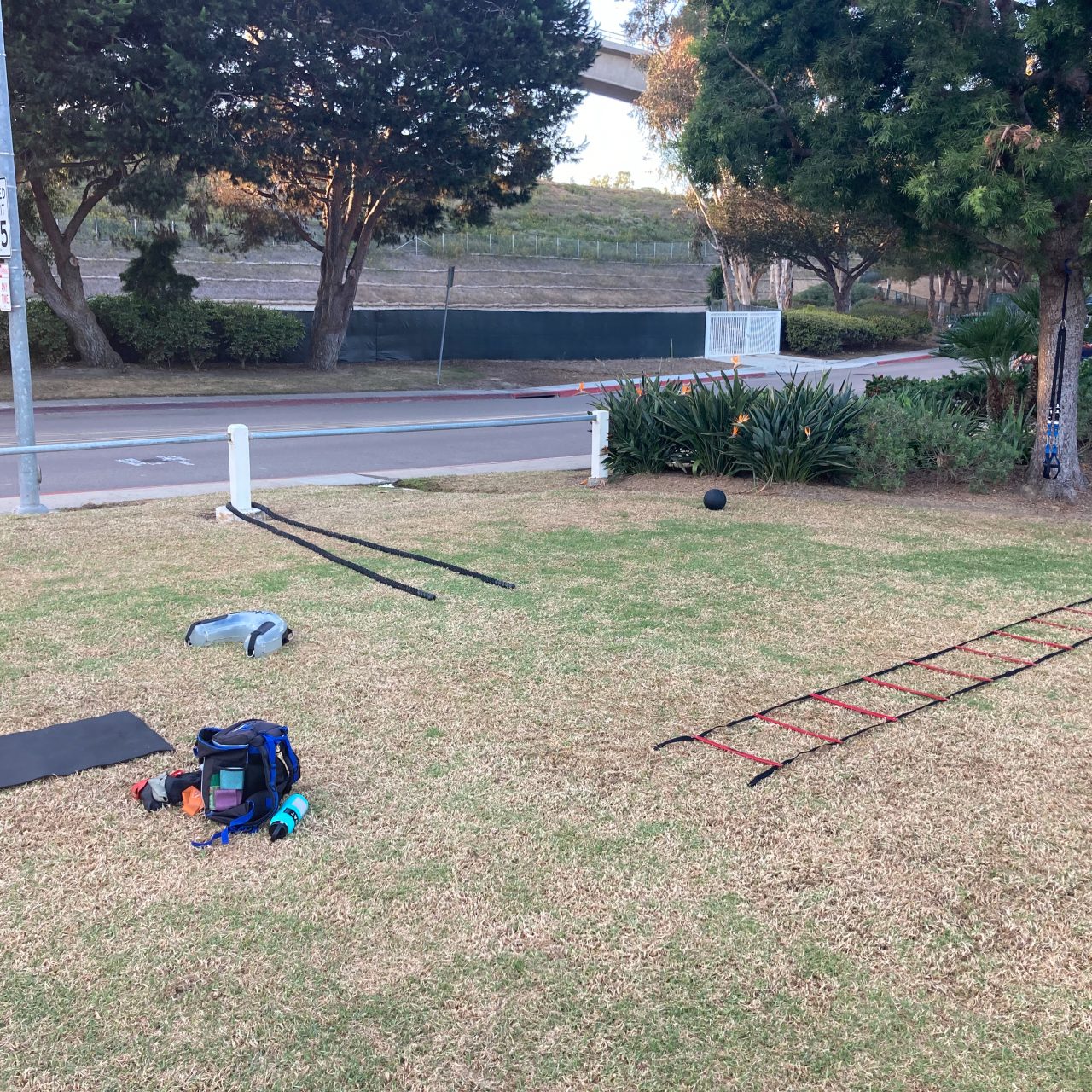 Staying Healthy During The Holidays