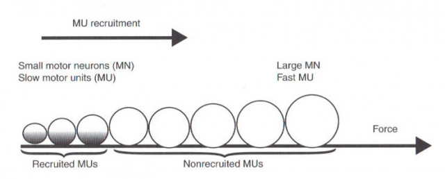Diagram explaining time under tension with circles and arrows