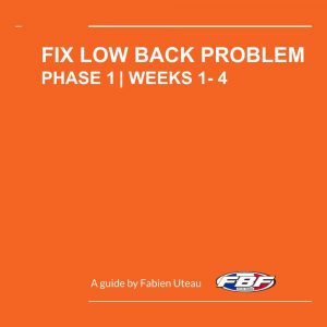 cover of the book low back problem offered as a free download by personal trainer in La Jolla